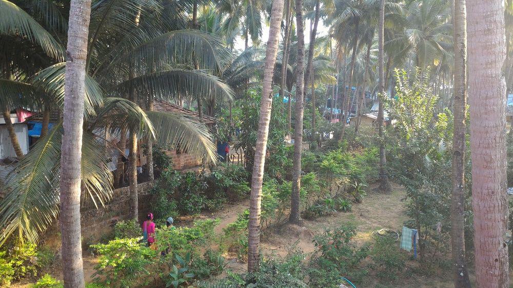 La Alegro Hotel Palolem Exterior photo